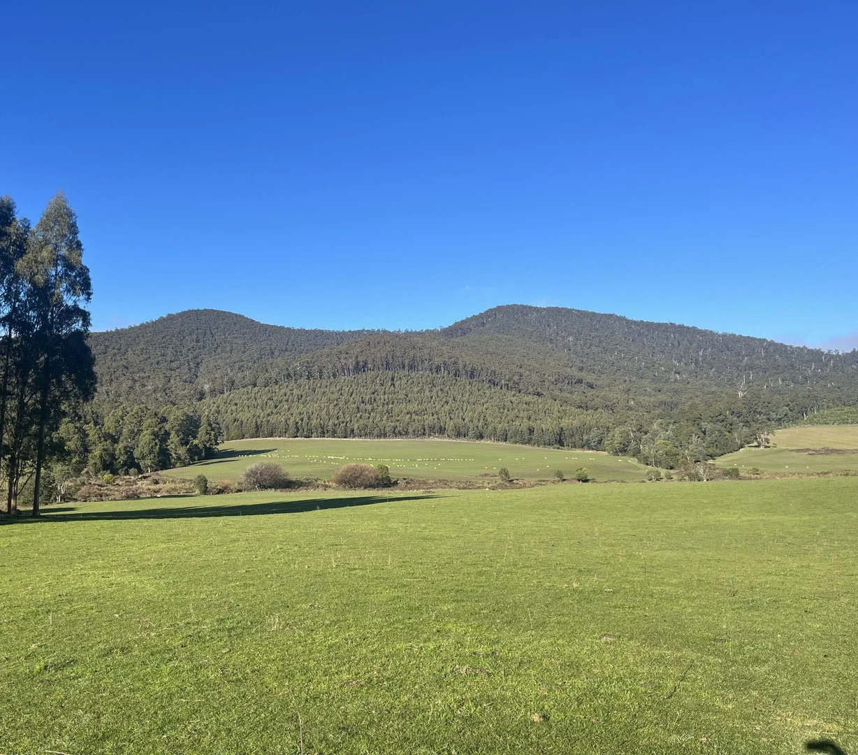 . Powers Road, Pyengana TAS 7216