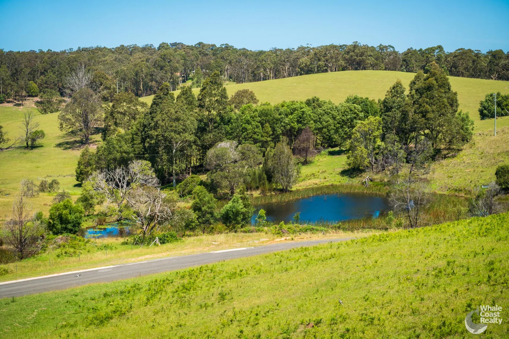 Additional image 3 of 2, 81 Wonga Road, Narooma NSW 2546