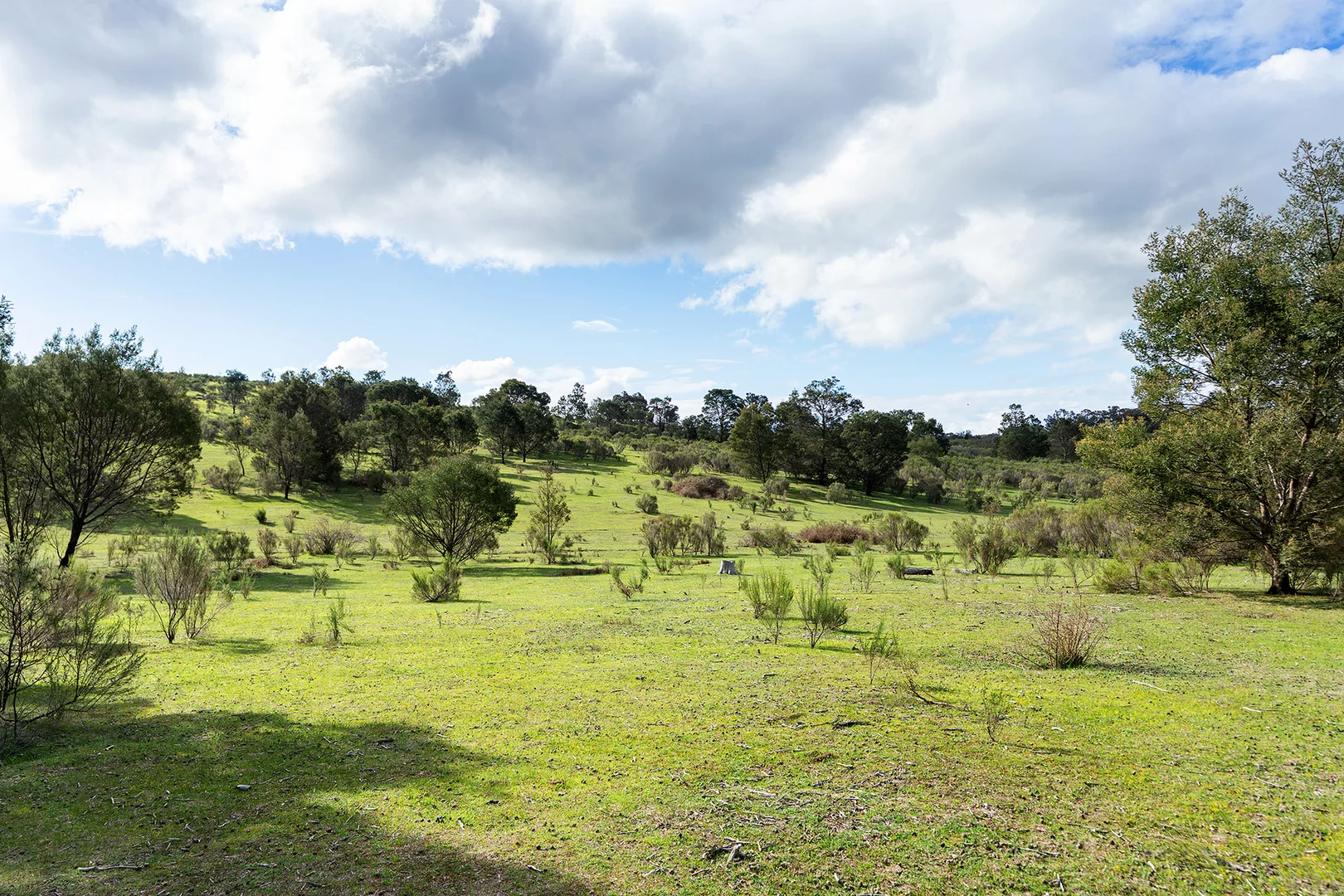 Additional image 6 of 130 Cypress Drive, Elphinstone VIC 3448