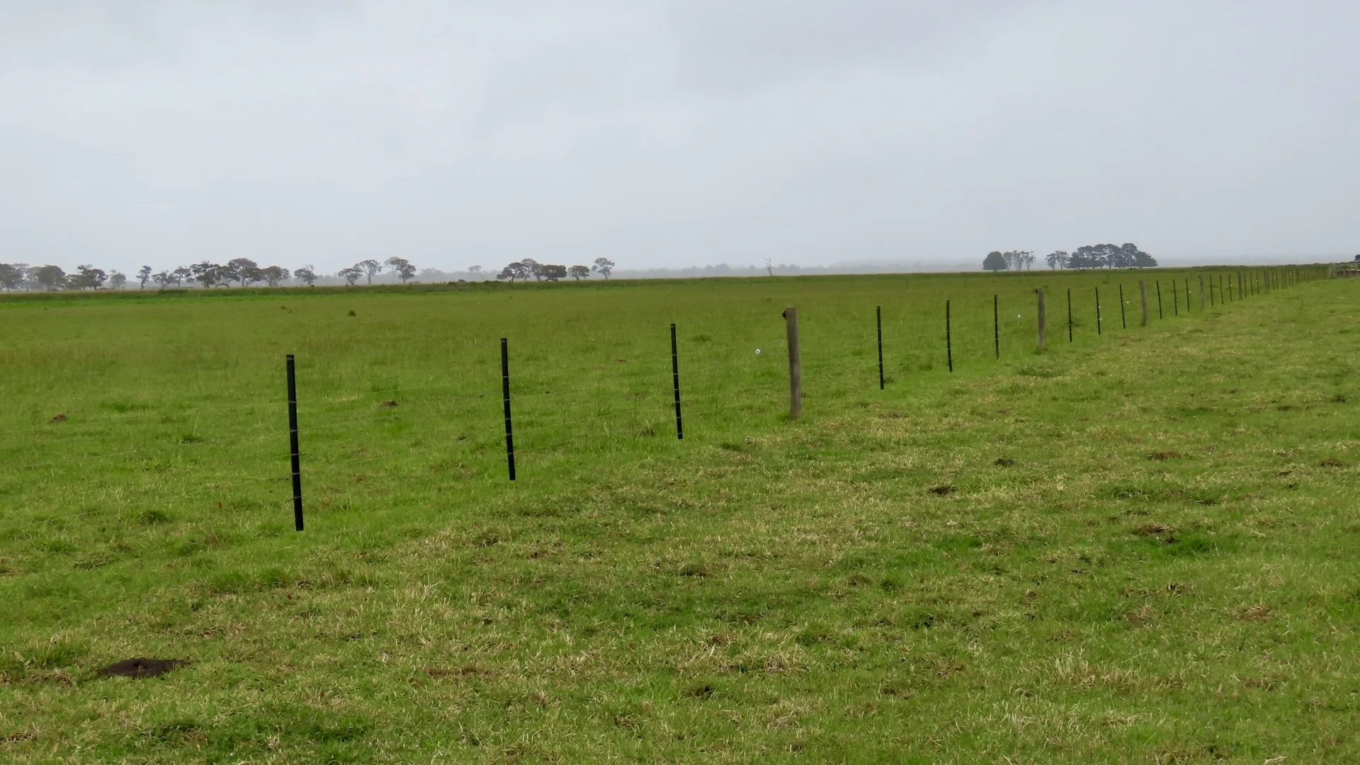 Additional image 24 of Contact Agent, Macarthur VIC 3286