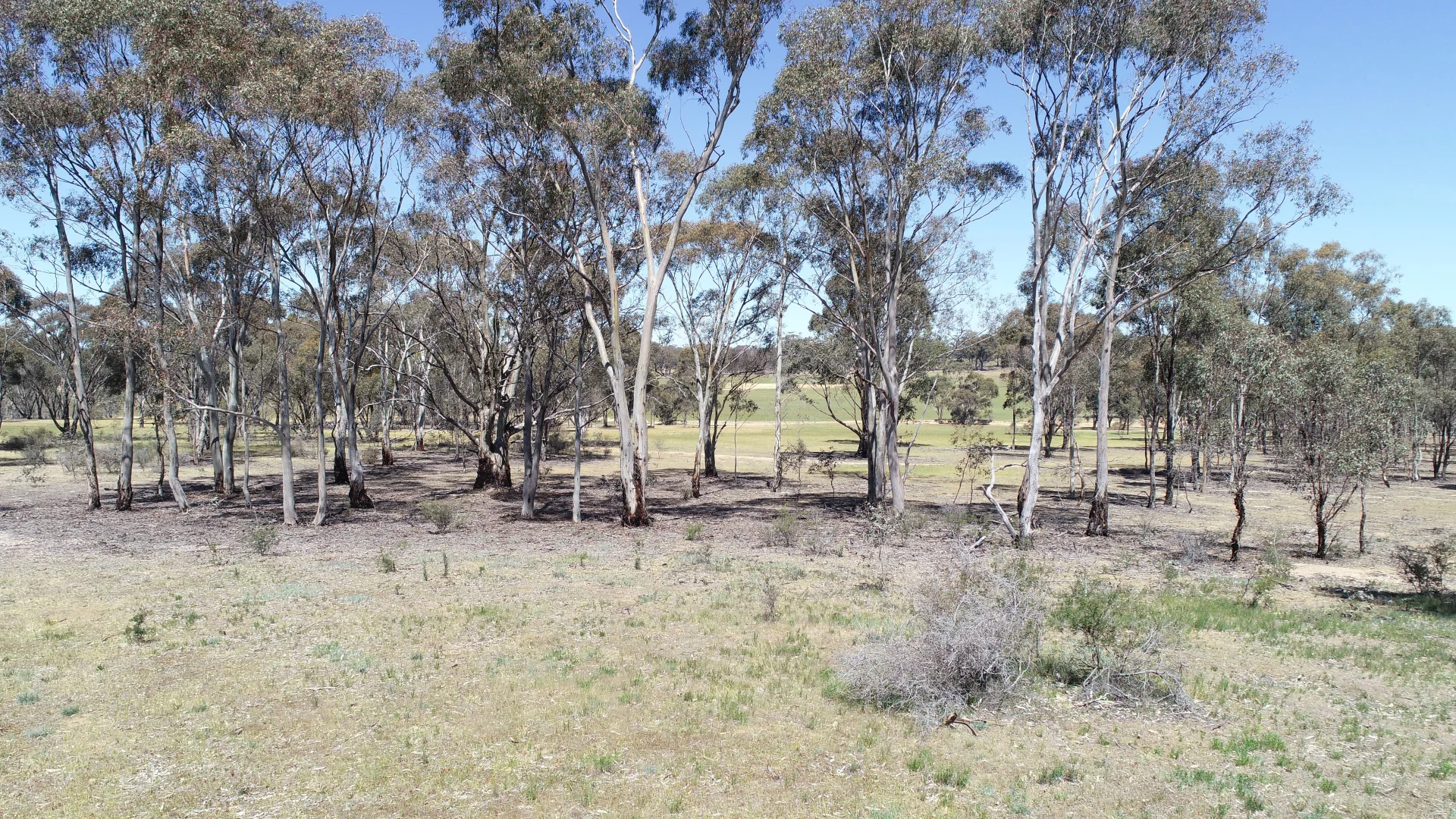 Additional image 4 of Allotment 7D Wedderburn Road, St Arnaud East VIC 3477