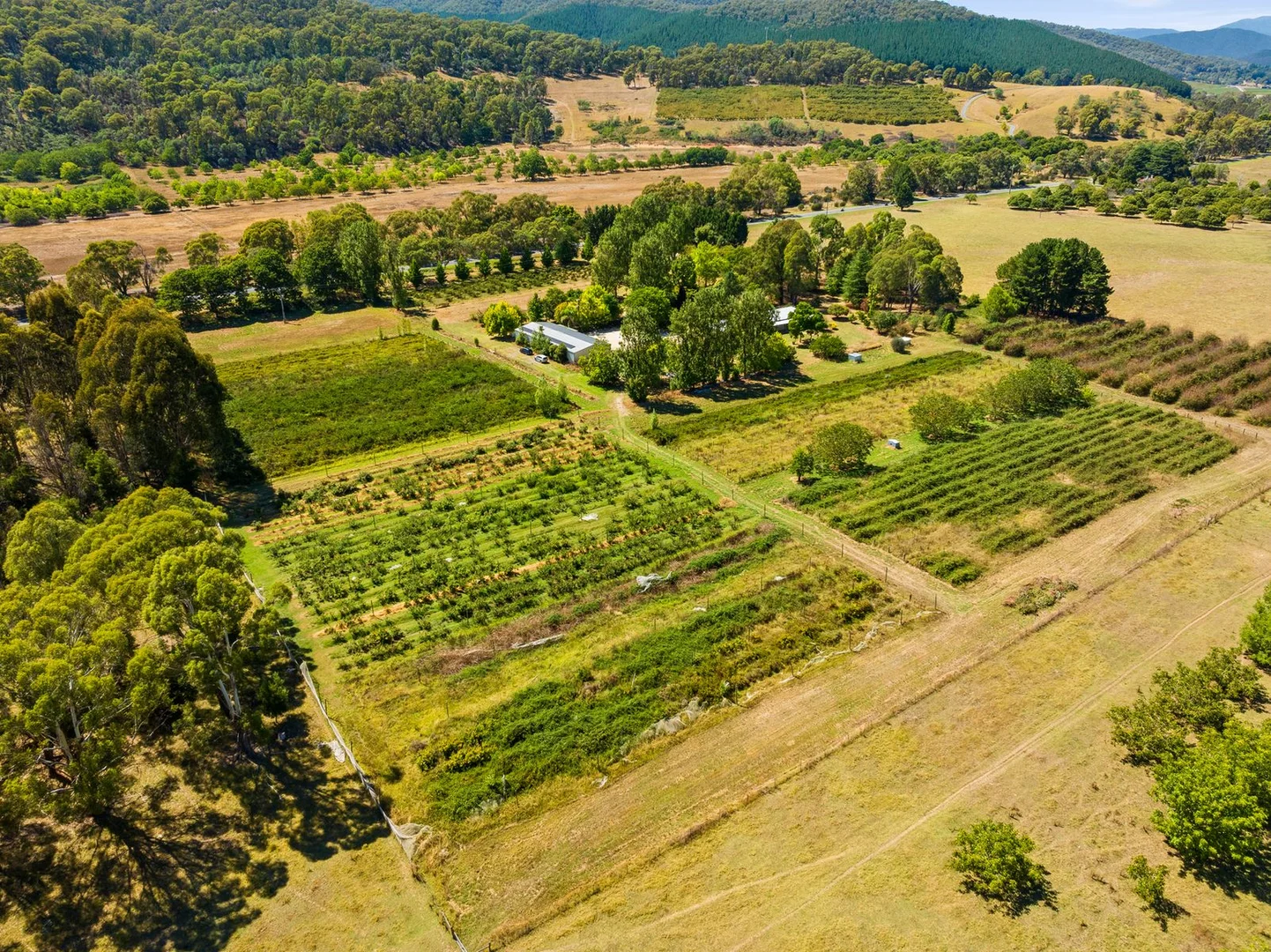 Additional image 36 of 6300 Great Alpine Road, Eurobin VIC 3739