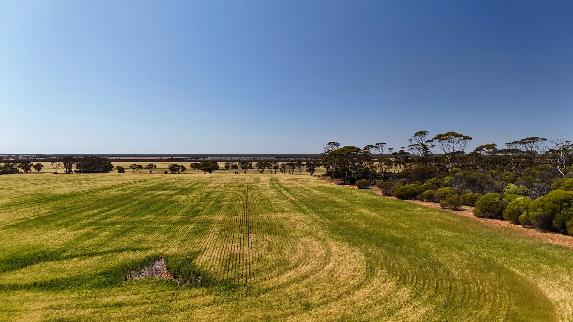 Additional image 39 of 3279 Calzoni Road, Hyden WA 6359