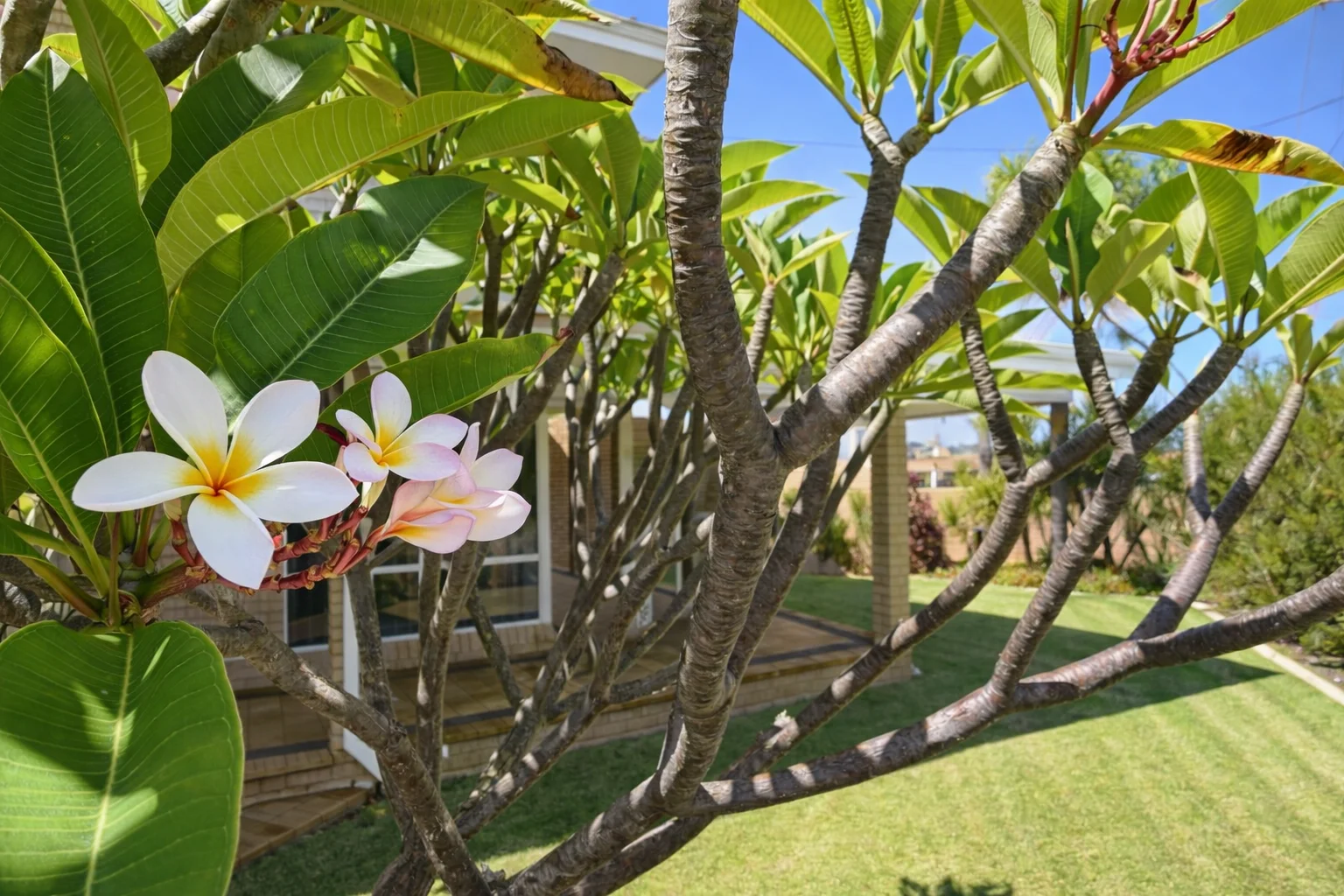 Additional image 6 of 124 George Road, Beresford WA 6530