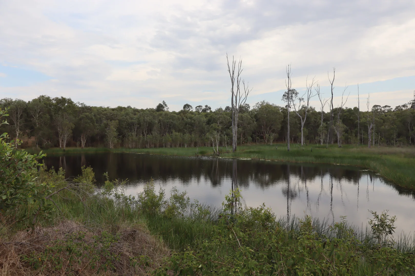 Additional image 11 of 107 Petersens Road, Yandaran QLD 4673