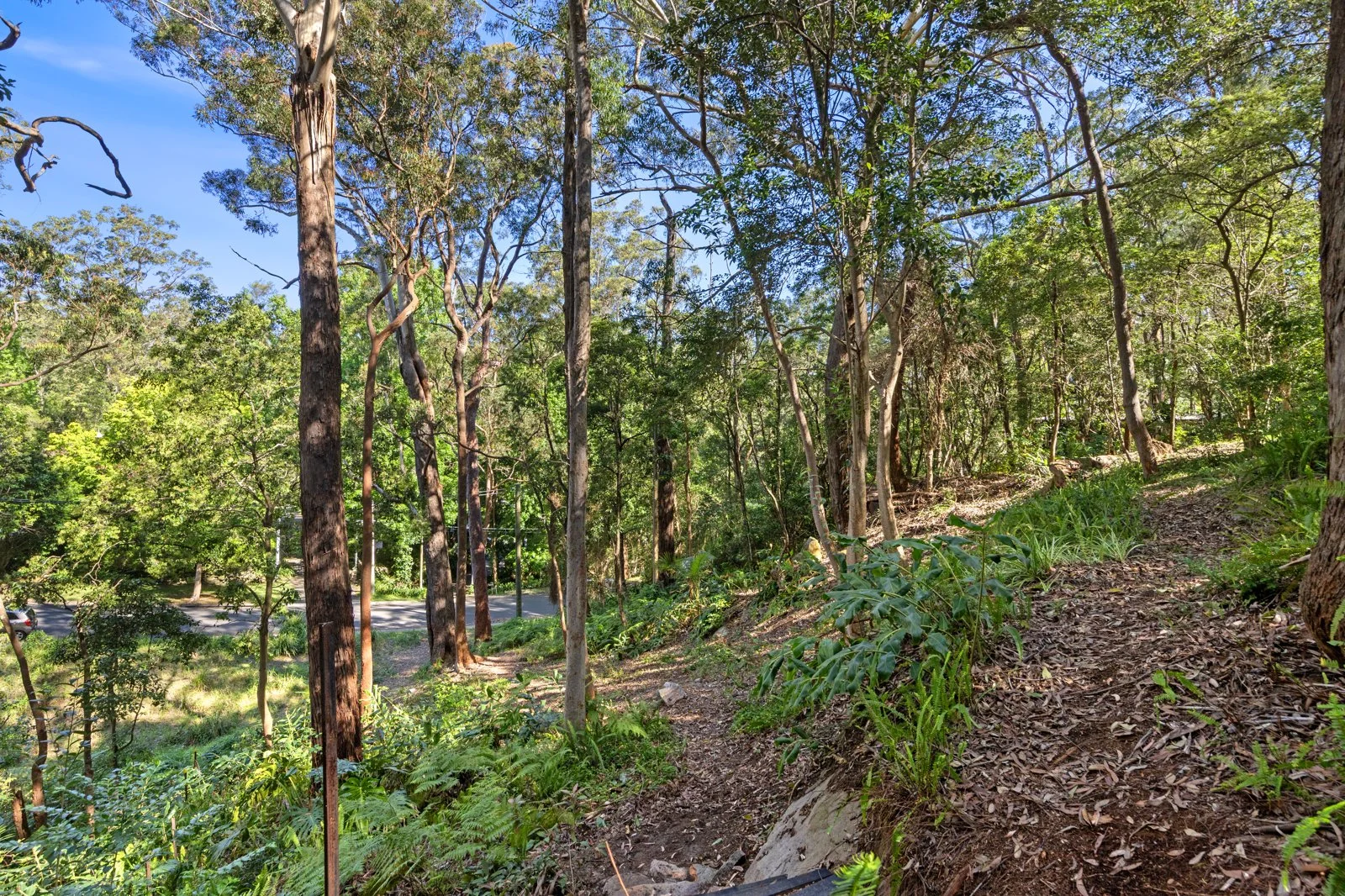 Additional image 7 of 49 Finlay Road, Warrawee NSW 2074