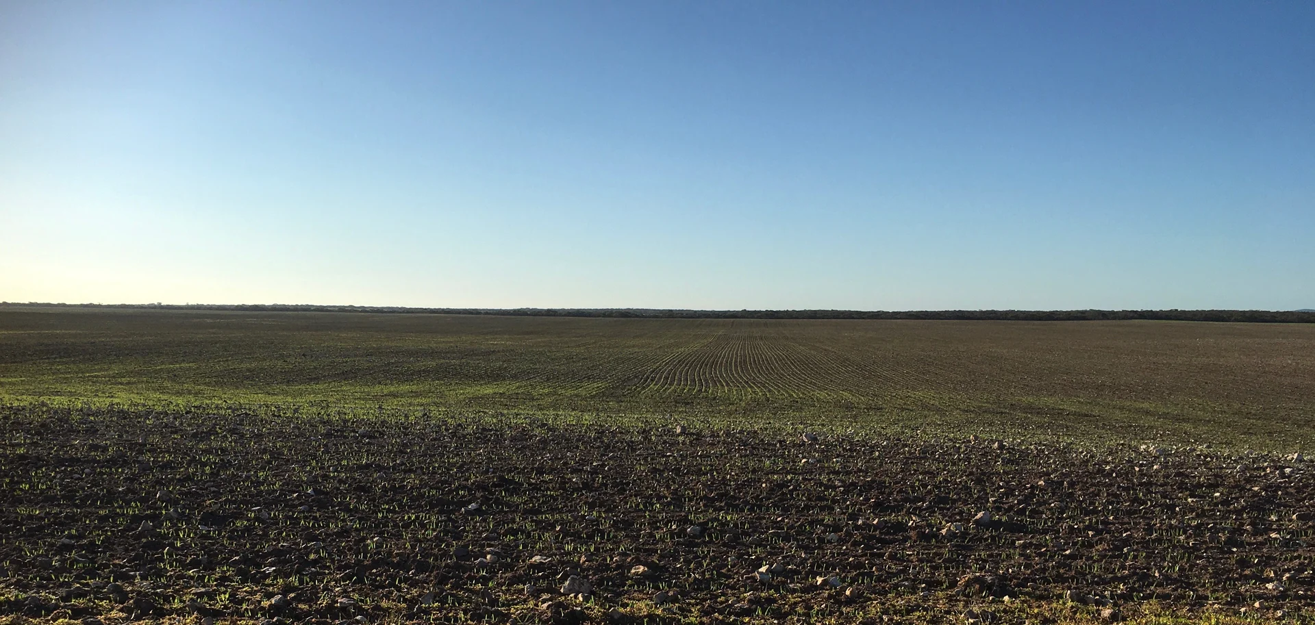 Additional image 15 of 163 McAskill Road, Karkoo SA 5632