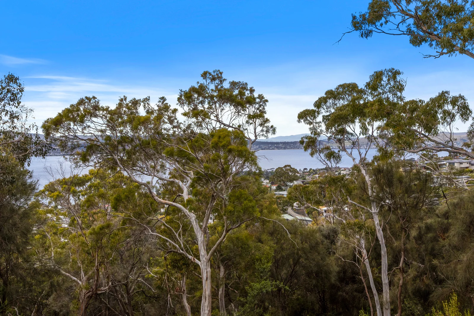 Additional image 12 of 199 Nelson Road, Mount Nelson TAS 7007