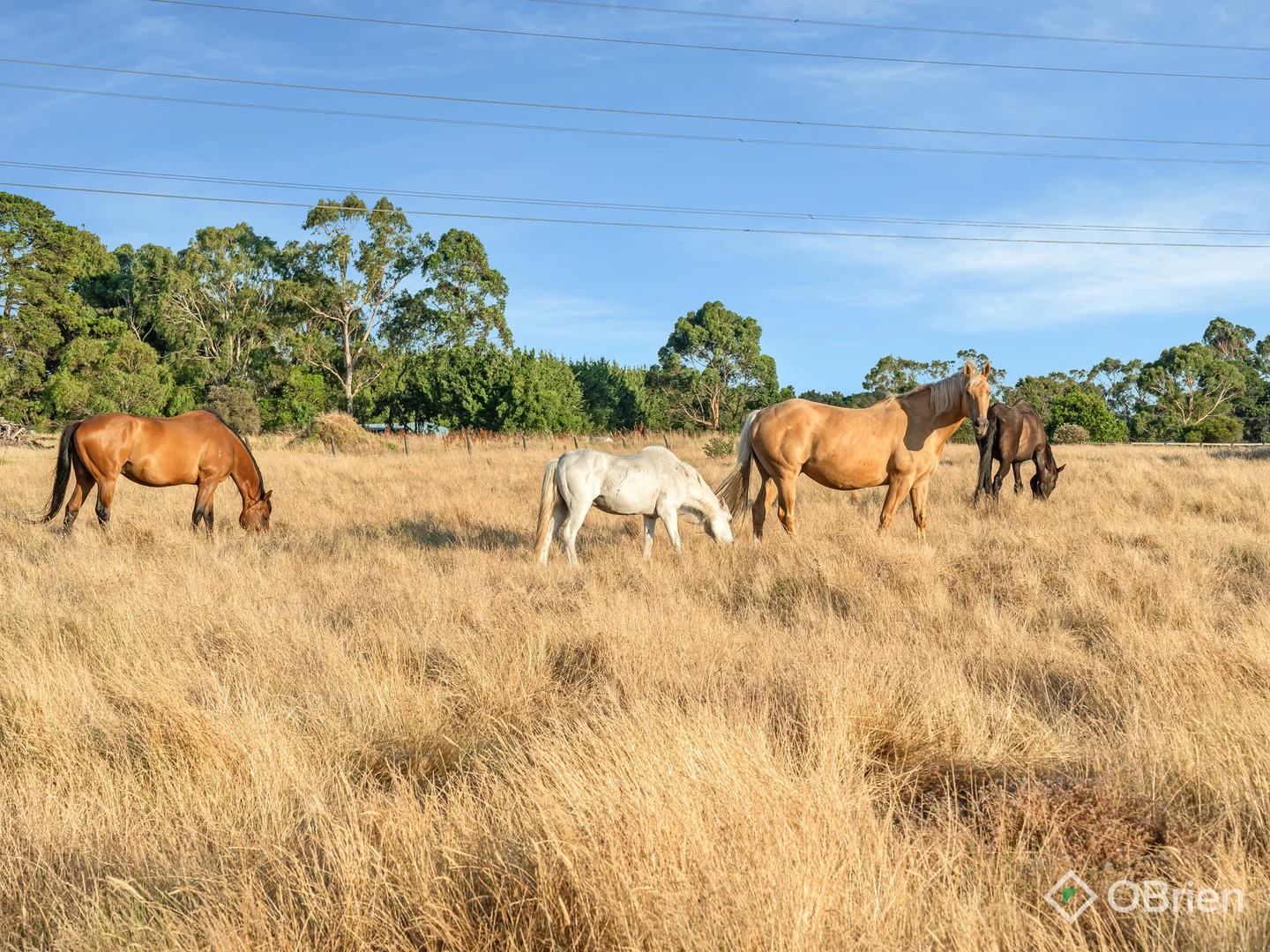 Additional image 21 of 25 Pikes Road, Tyabb VIC 3913