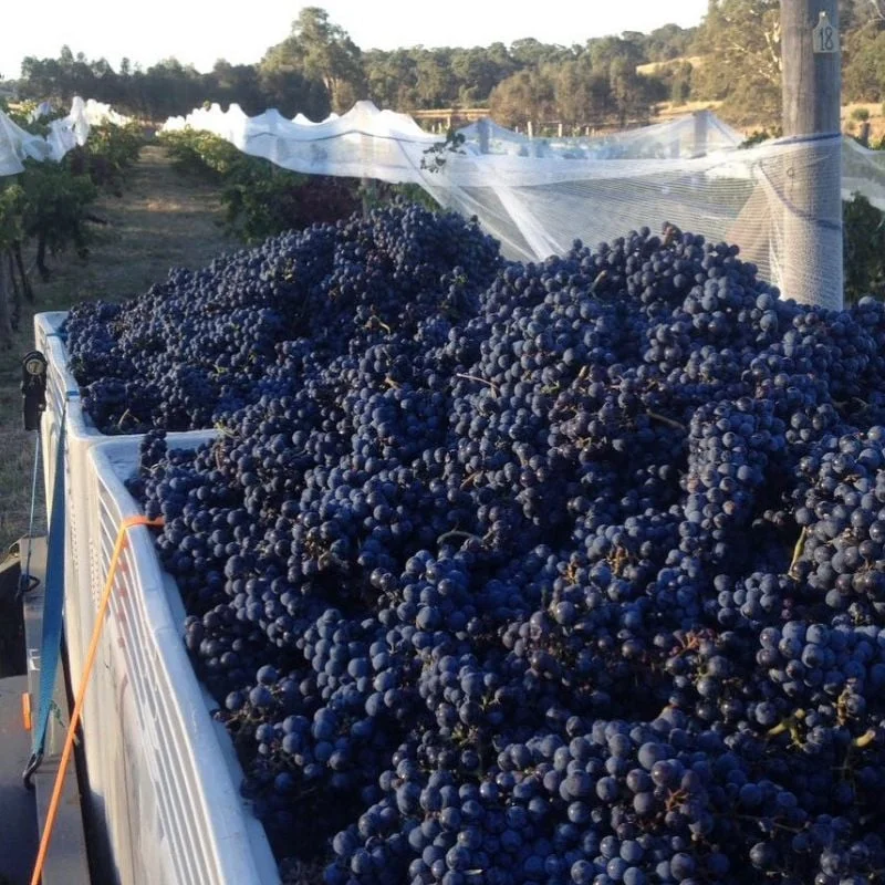 Additional image 5 of 56 Pound Lane, Guildford VIC 3451