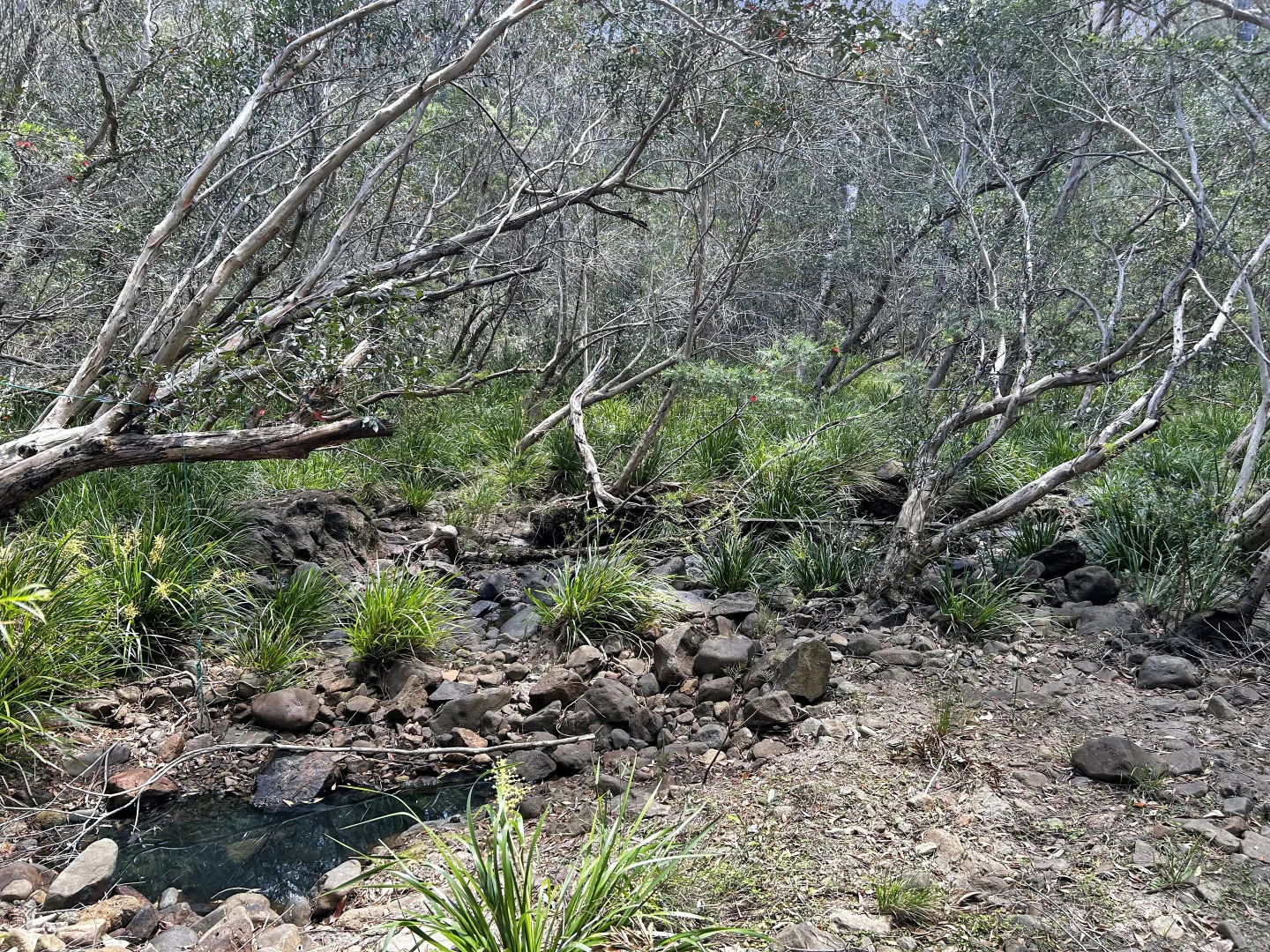 Additional image 32 of 4/62 Leslie Creek Road, Tabulam NSW 2469