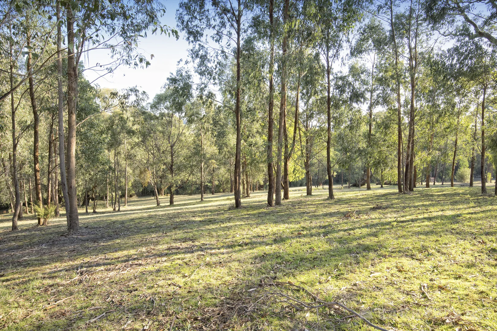 Additional image 8 of 450 Sheepstation Creek Road, Yellingbo VIC 3139