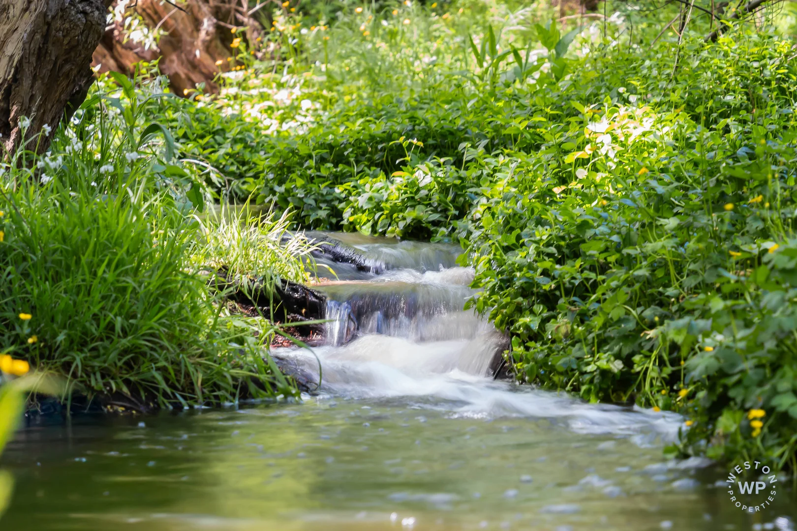 Additional image 17 of 255 Sturt Valley Road, Upper Sturt SA 5156