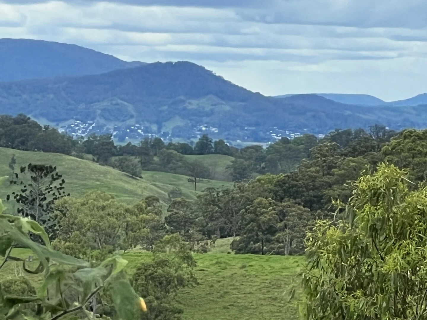 Additional image 15 of 59 Wyndham Road, Wyneden NSW 2474