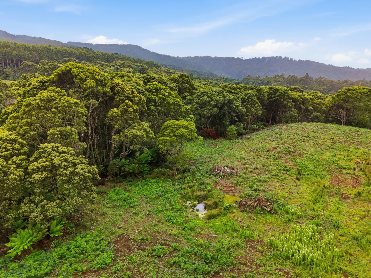 Additional image 12 of 28834 Tasman Highway, Weldborough TAS 7264