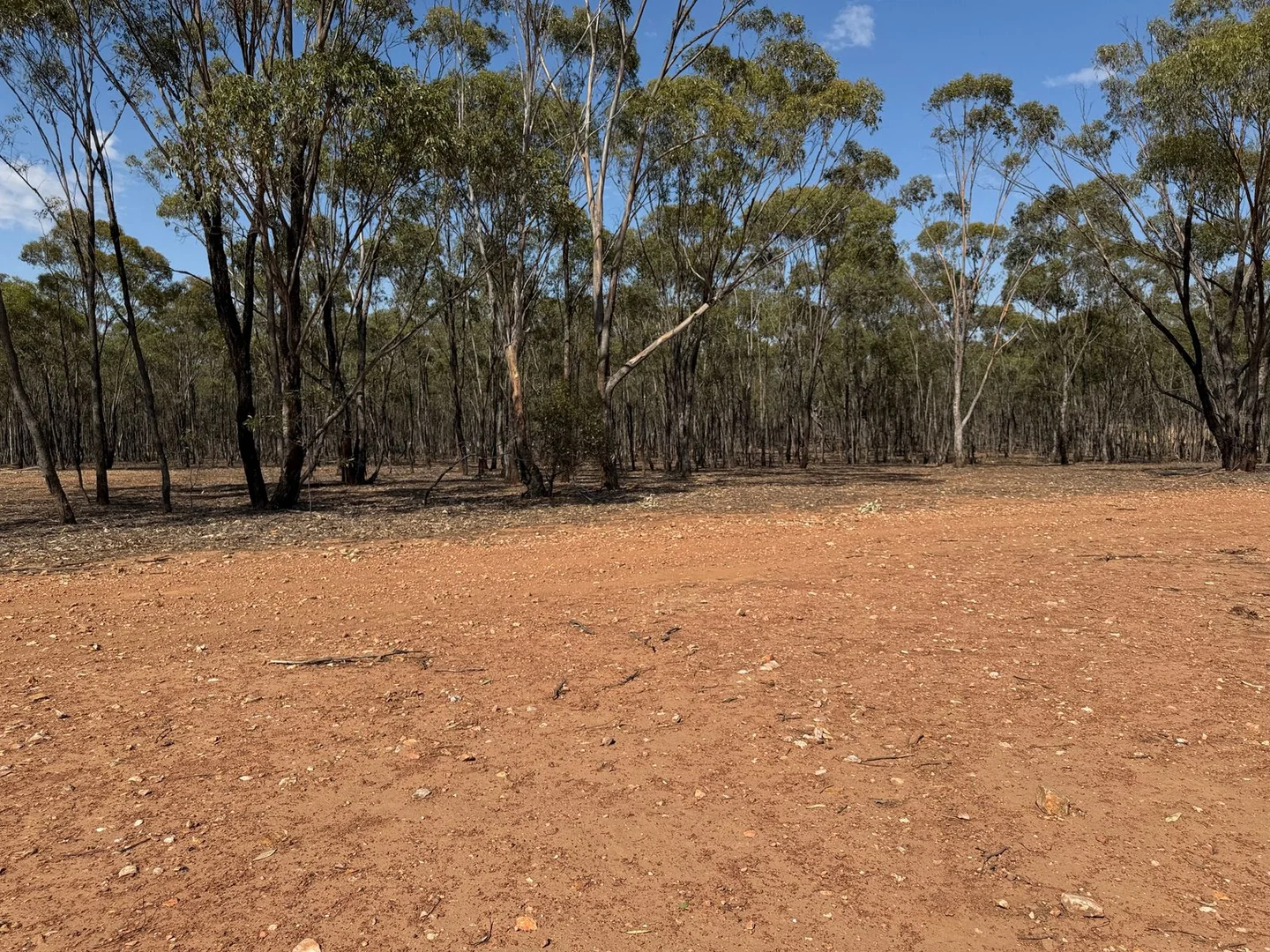 Additional image 8 of 63 Cortesi Road, Bealiba VIC 3475