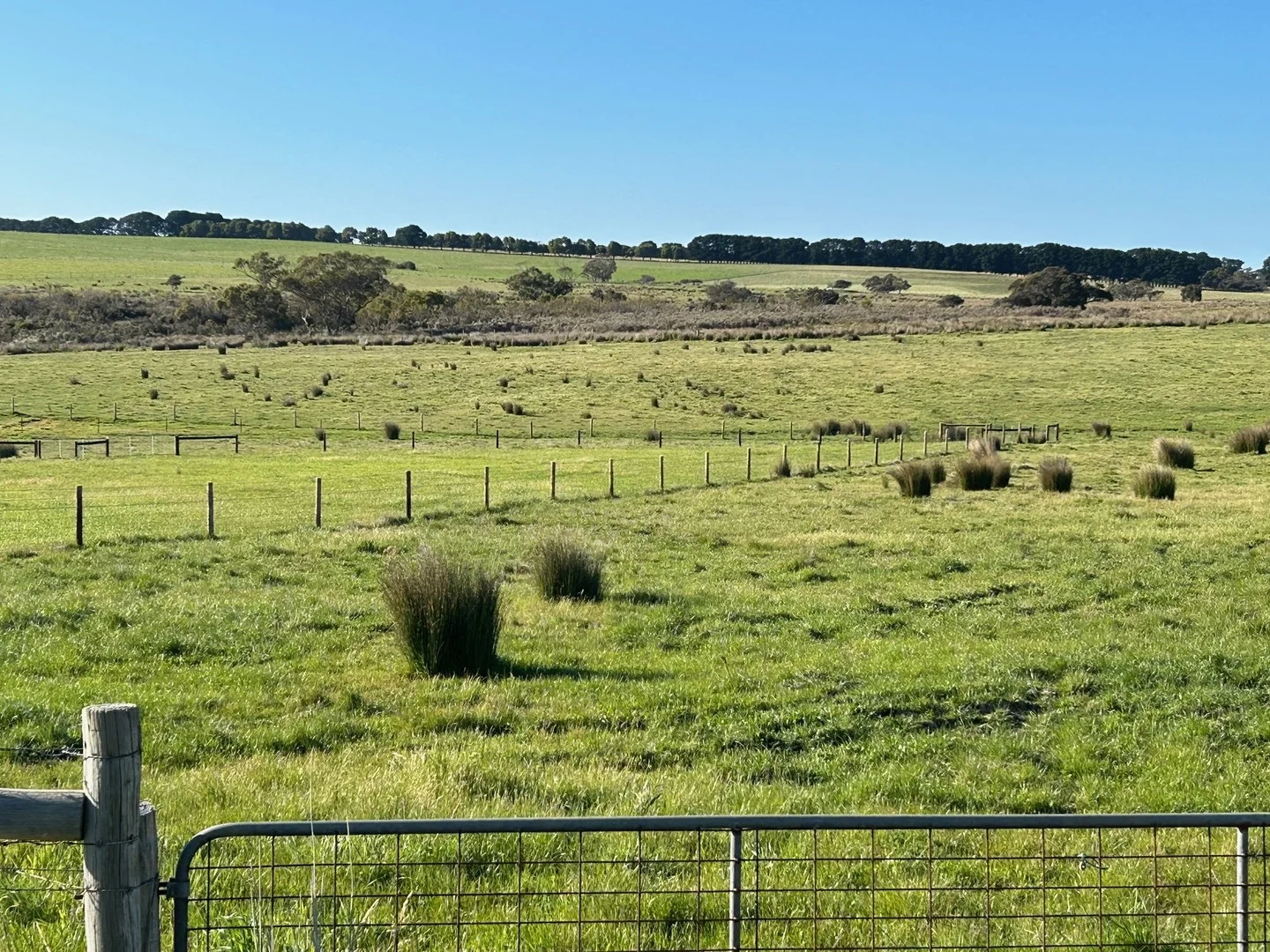 Additional image 7 of Lot 259 Pambula Road, Mount Jagged SA 5211