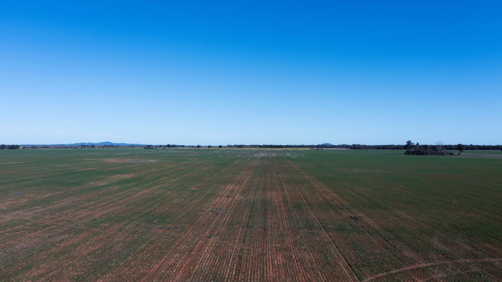 Additional image 14 of Sandy Camp & Kimaroi Sandy Camp Road, Condobolin NSW 2877