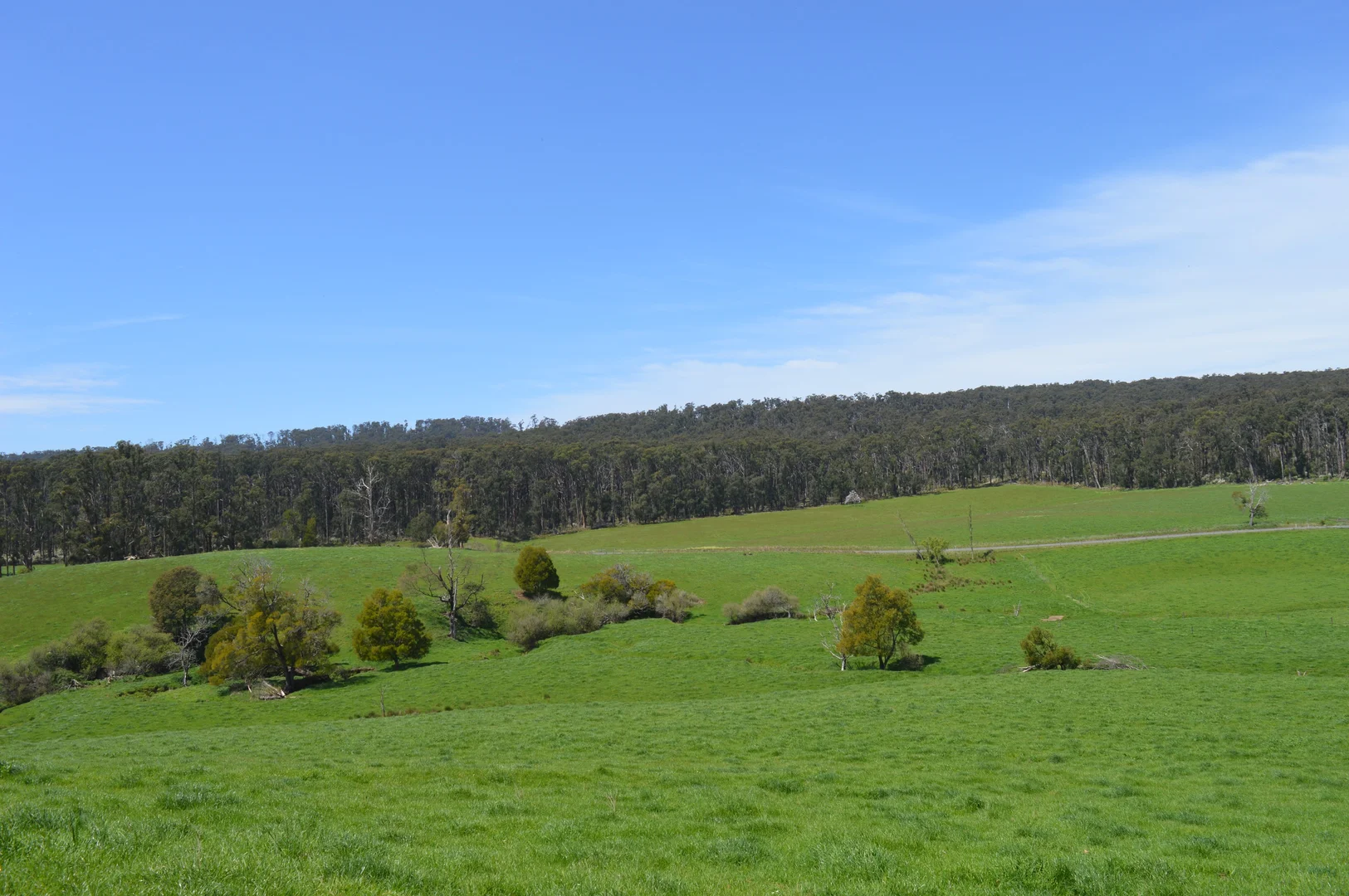 Additional image 6 of 365 Limonite Road, Boolarra South VIC 3870