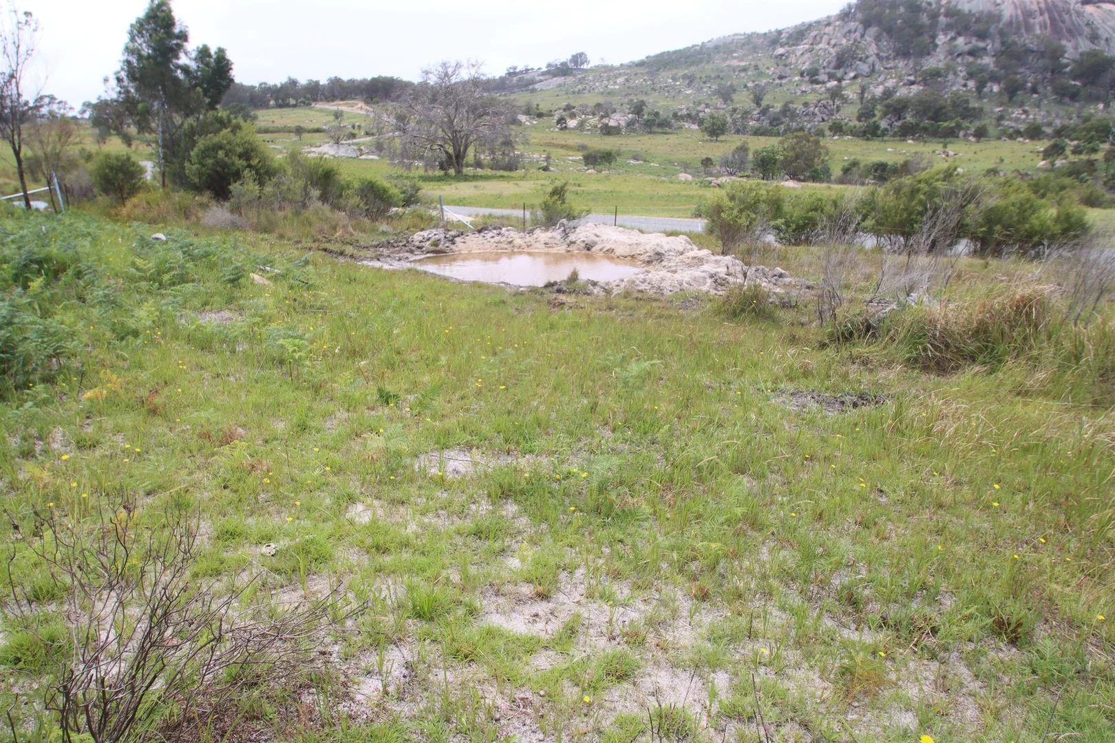 Additional image 5 of Lot 21 Kildare Road, Tenterfield NSW 2372