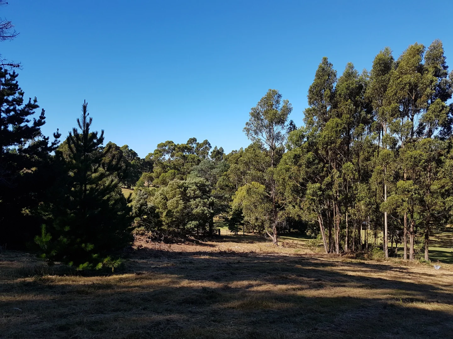 Additional image 7 of 16 & 20 Russell Street, Gordon TAS 7150