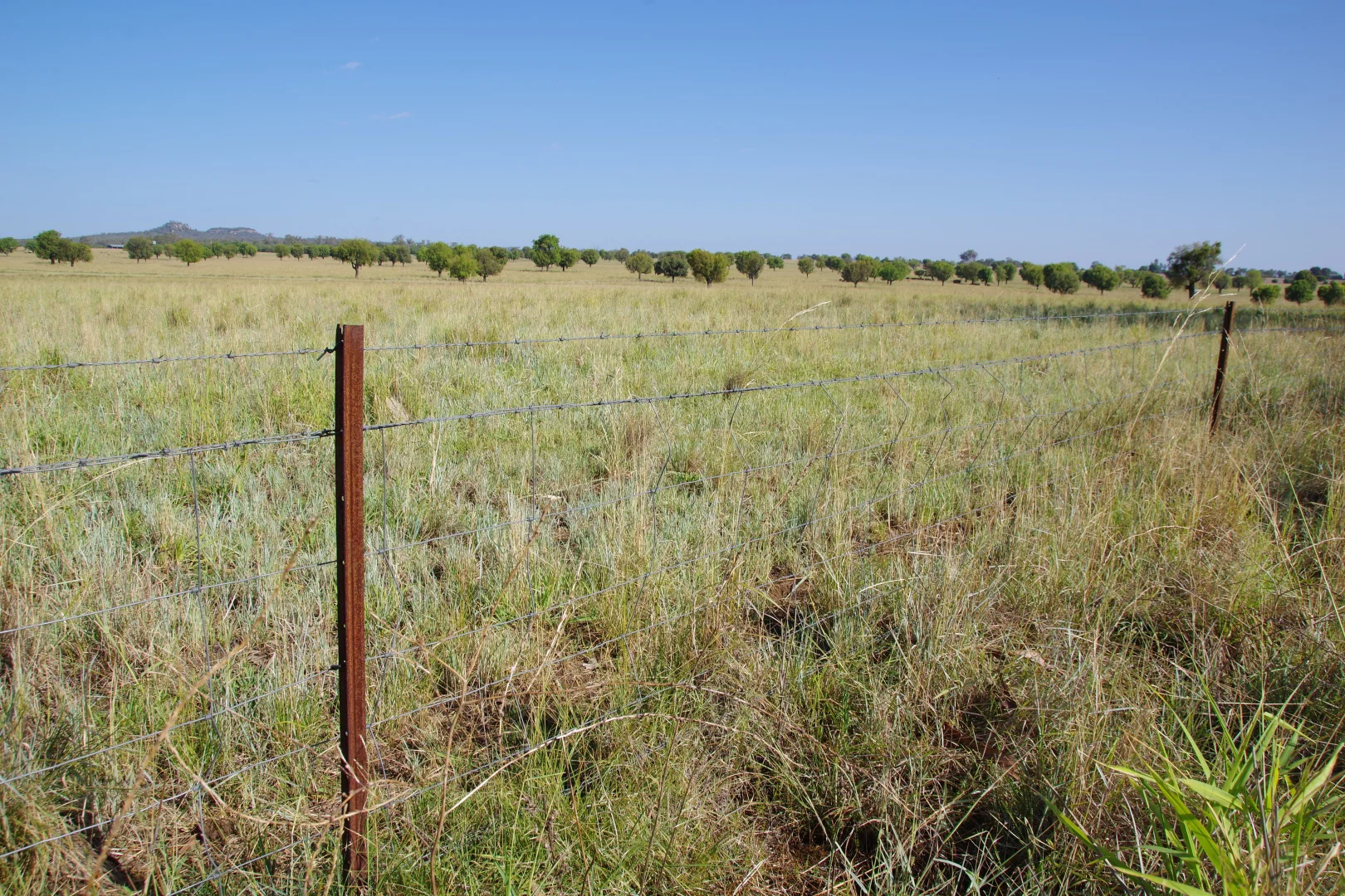 Additional image 42 of 1676 Willala Road, Boggabri NSW 2382