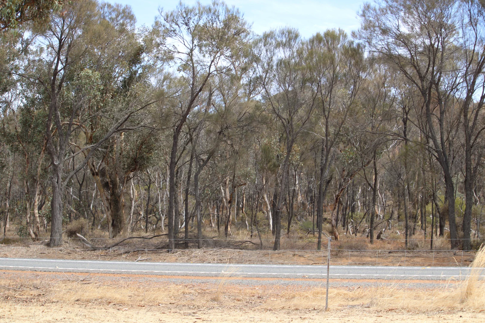 Additional image 8 of 191 Great Southern Highway, Woodanilling WA 6316