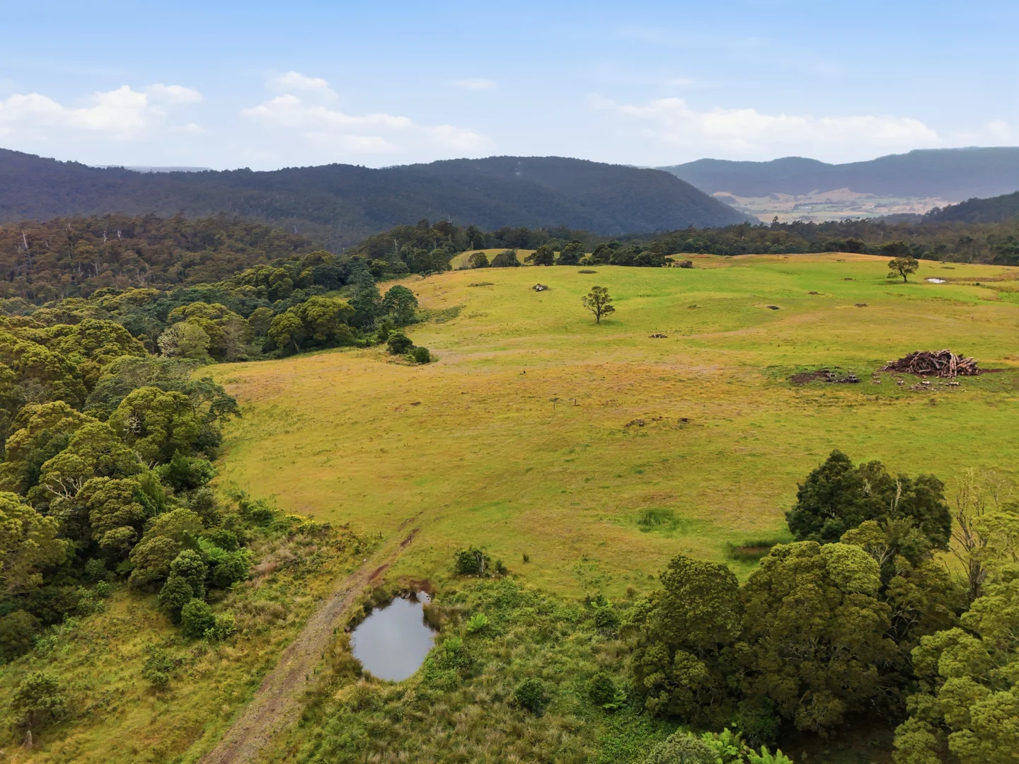 Additional image 8 of 28834 Tasman Highway, Weldborough TAS 7264