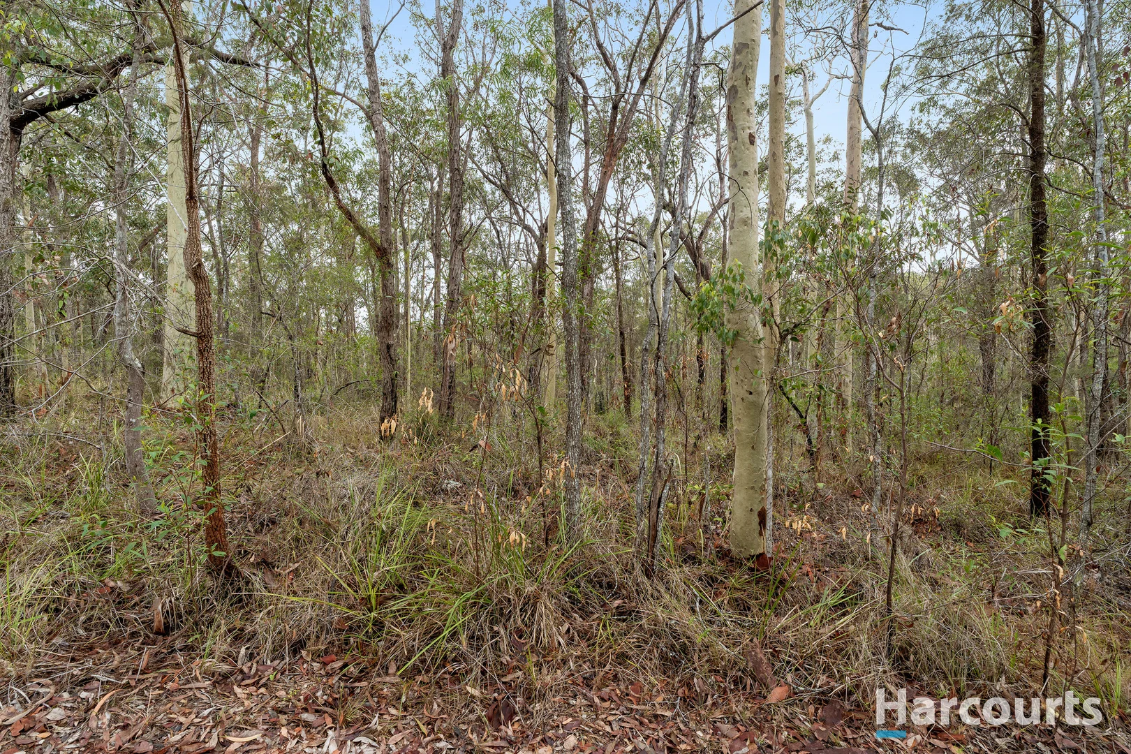 Additional image 5 of 2952 Casino Crescent, North Arm Cove NSW 2324