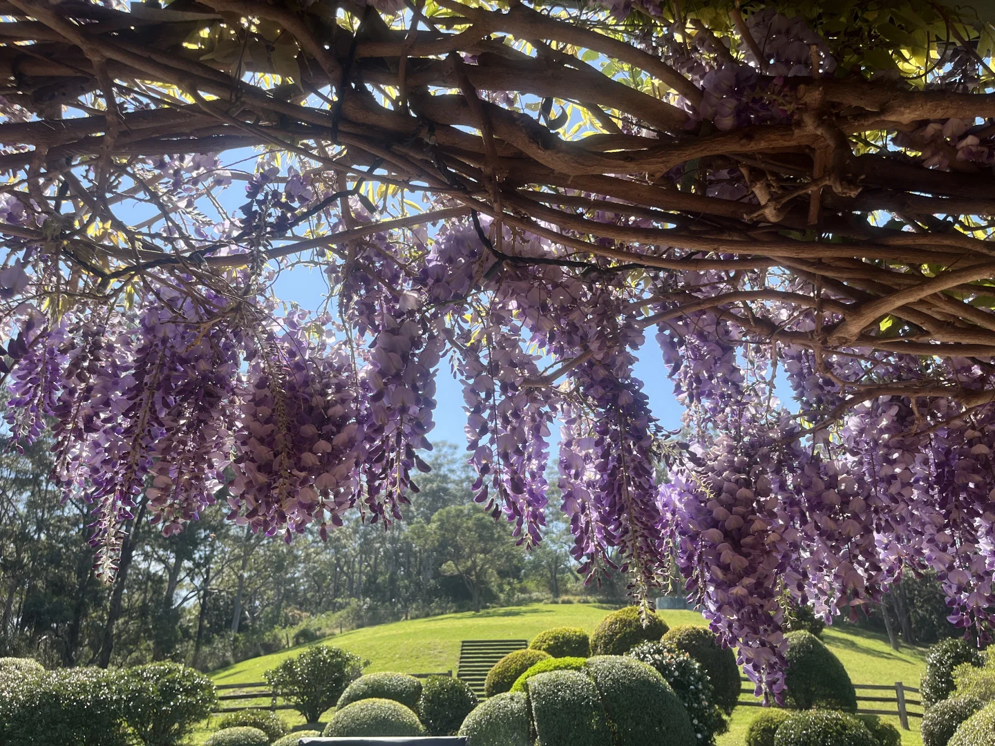 Additional image 12 of 'Eagleview Park' 98 Foxground Road, Foxground NSW 2534