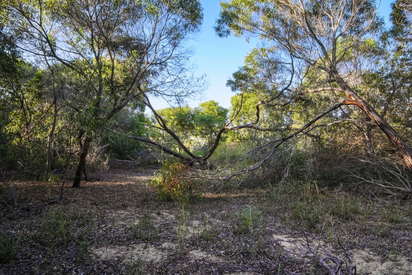 Additional image 6 of 25 Beaches Village Circuit, Agnes Water QLD 4677