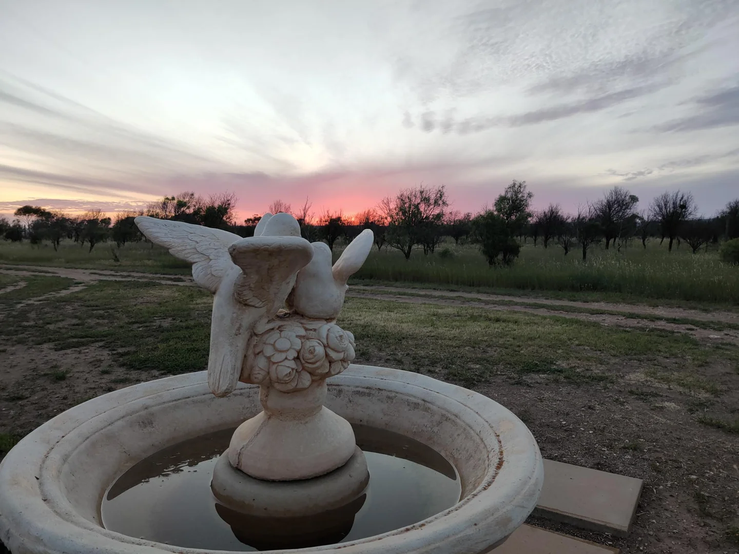 Additional image 27 of Lot 2 Thuruna Road, Tumby Bay SA 5605