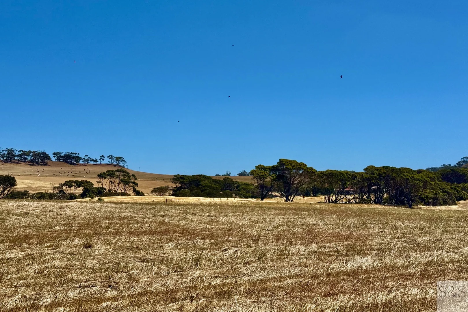 Additional image 11 of Lot 1004 North Coast Road, Wisanger SA 5223