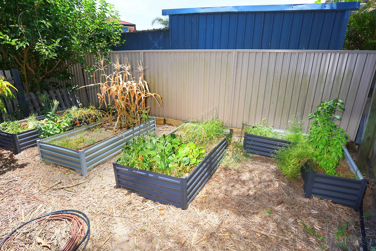 Additional image 25 of 11 Eacham Avenue, Coombabah QLD 4216