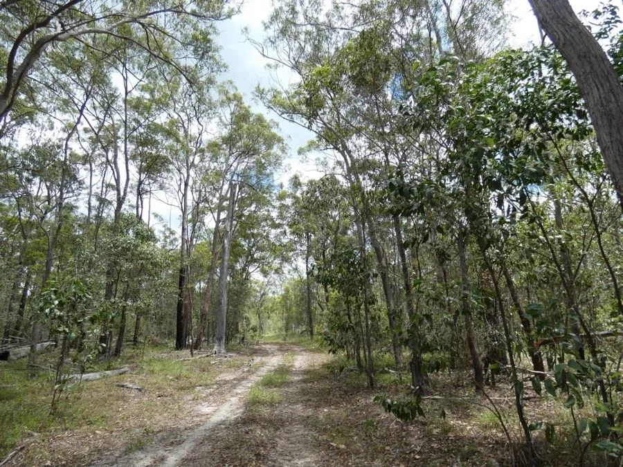 Additional image 22 of Lot 41 Moolyung Road, Waterloo QLD 4673