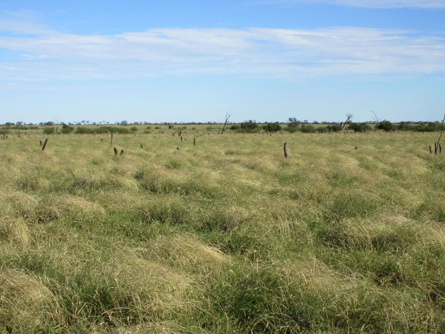 Additional image 7 of 715 Royston Lane, Longreach QLD 4730