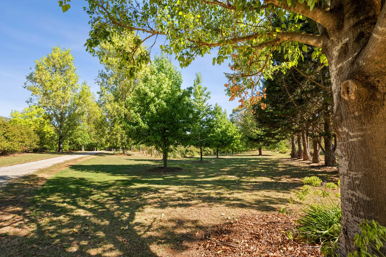 Additional image 32 of 6300 Great Alpine Road, Eurobin VIC 3739