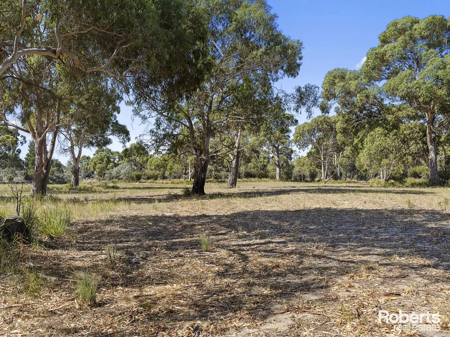 Additional image 10 of 95 Dolphin Sands Road, Dolphin Sands TAS 7190