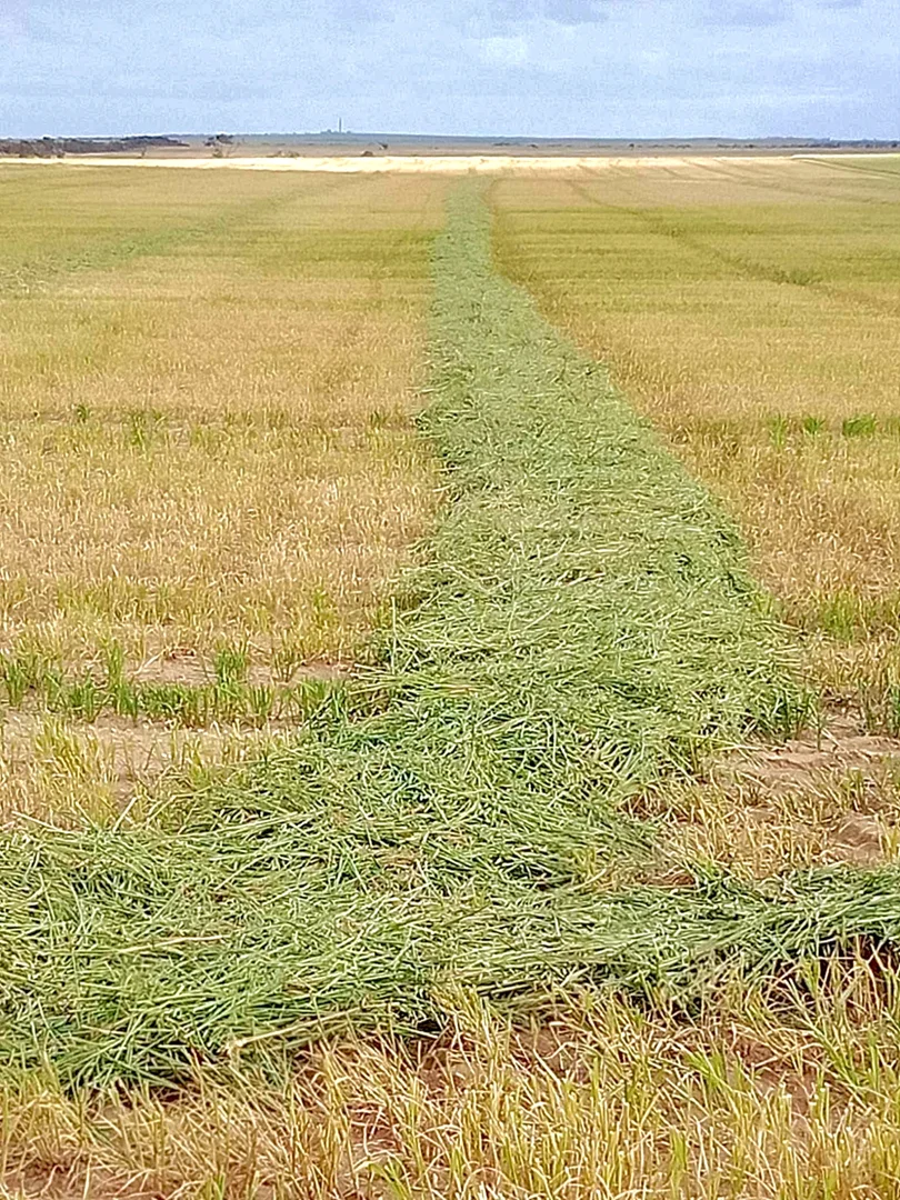 Additional image 30 of 1266 OTC Road, Wandana SA 5690