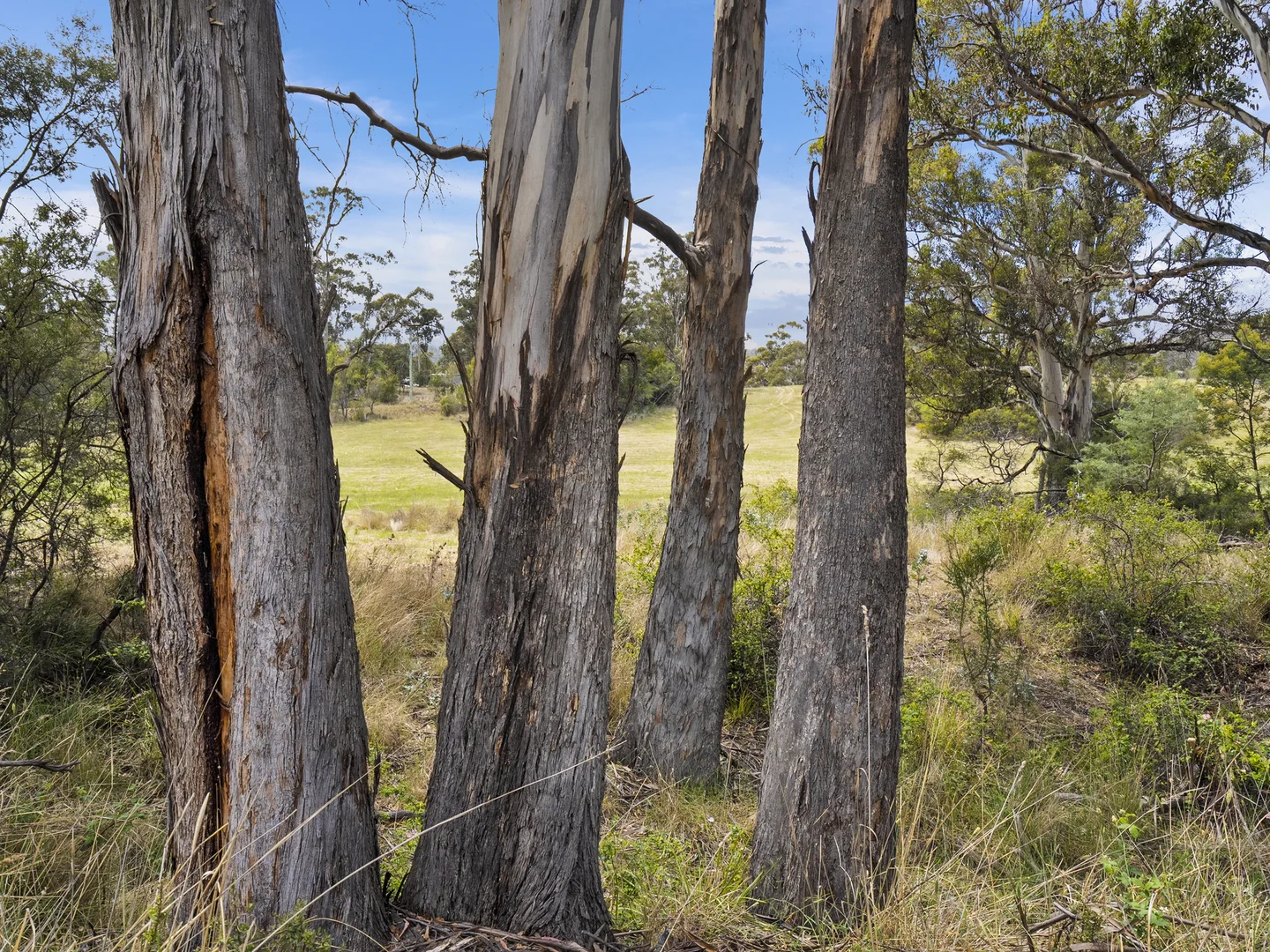 Additional image 24 of 1 Aldridge Road, Orielton TAS 7172