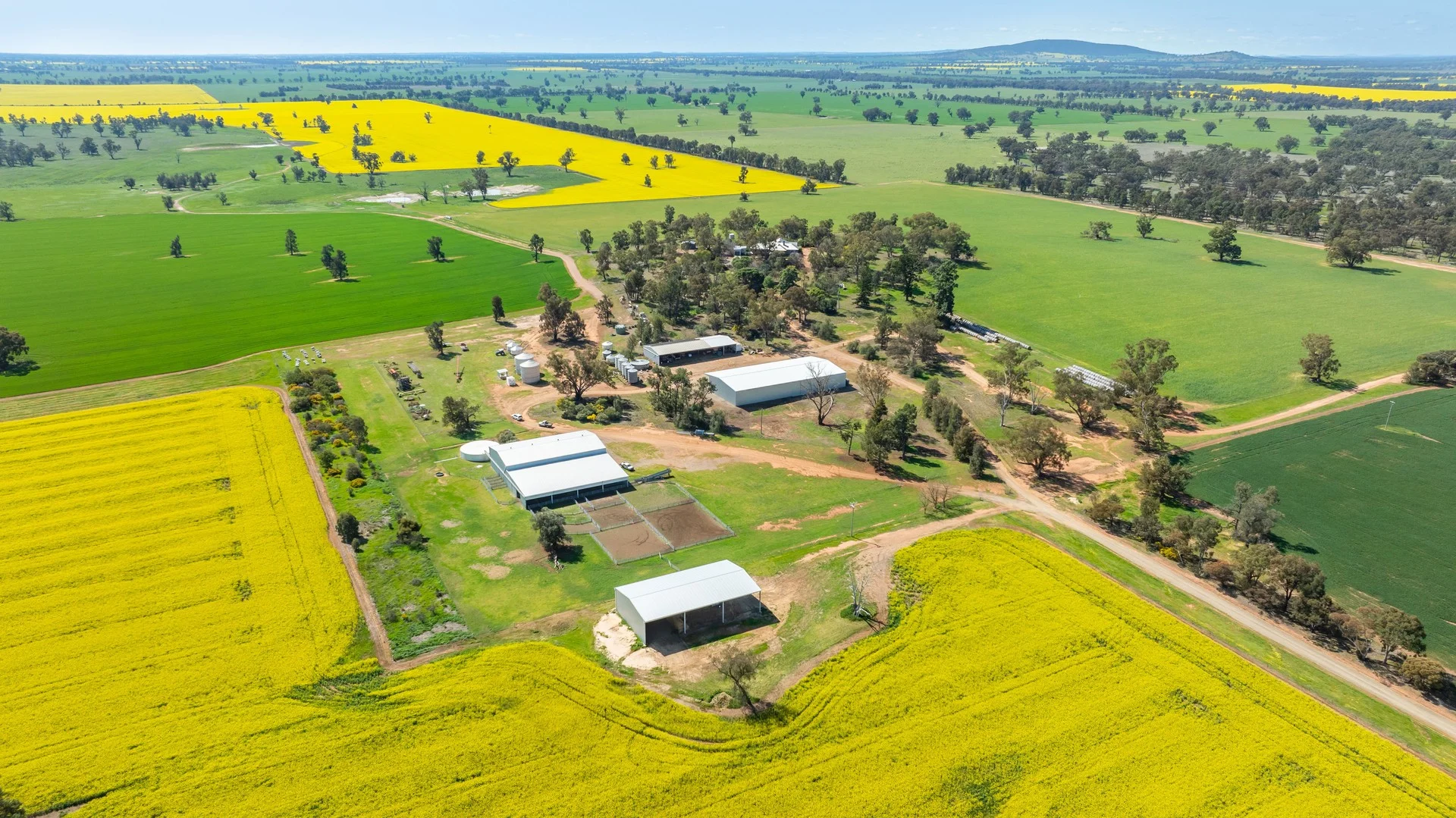 BOOROOL Mossdale Road, Balldale NSW 2646