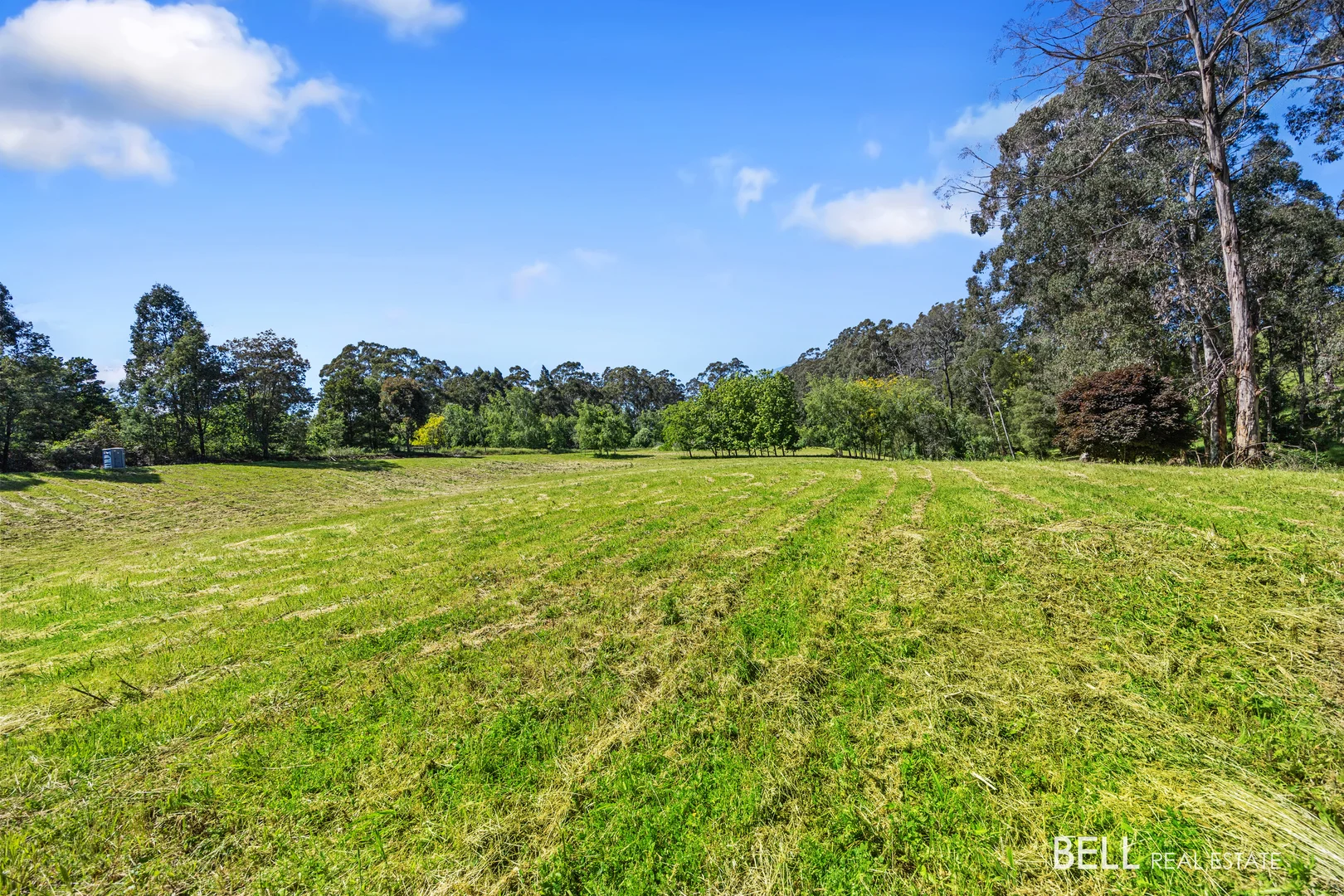 Additional image 3 of 65 Lewis Road, Hoddles Creek VIC 3139