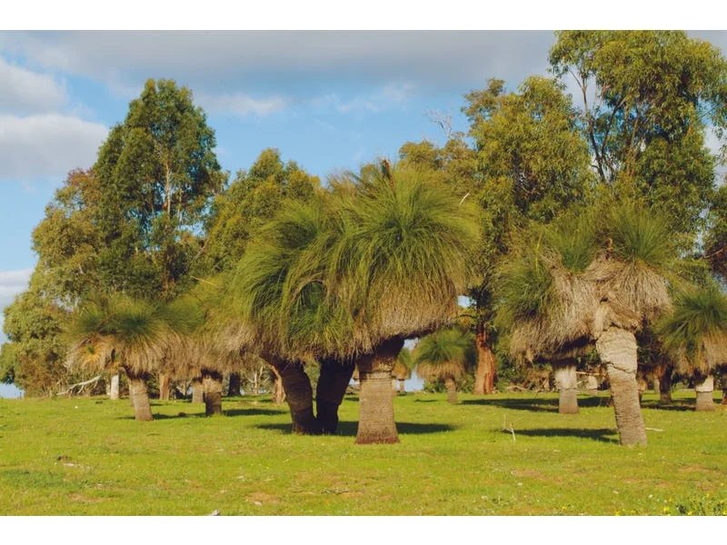 Additional image 8 of Lot 81 Cheriton Road, Gingin WA 6503