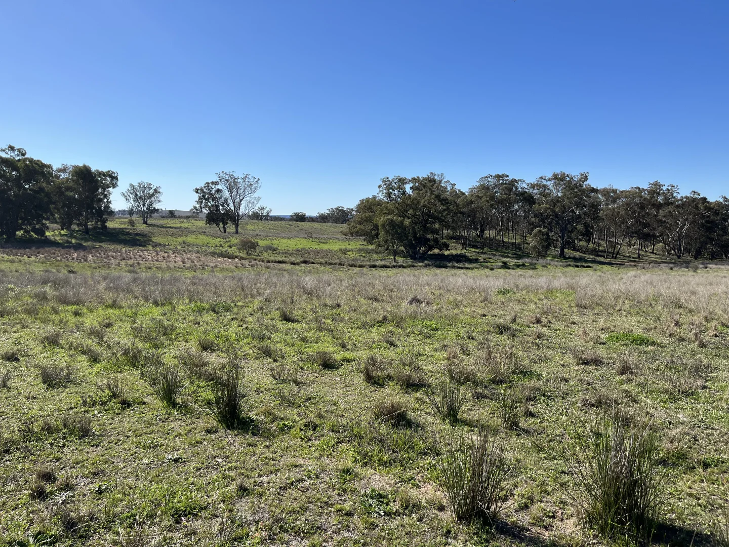 Additional image 28 of "Piambra" 714 Piambra Road, Binnaway NSW 2395