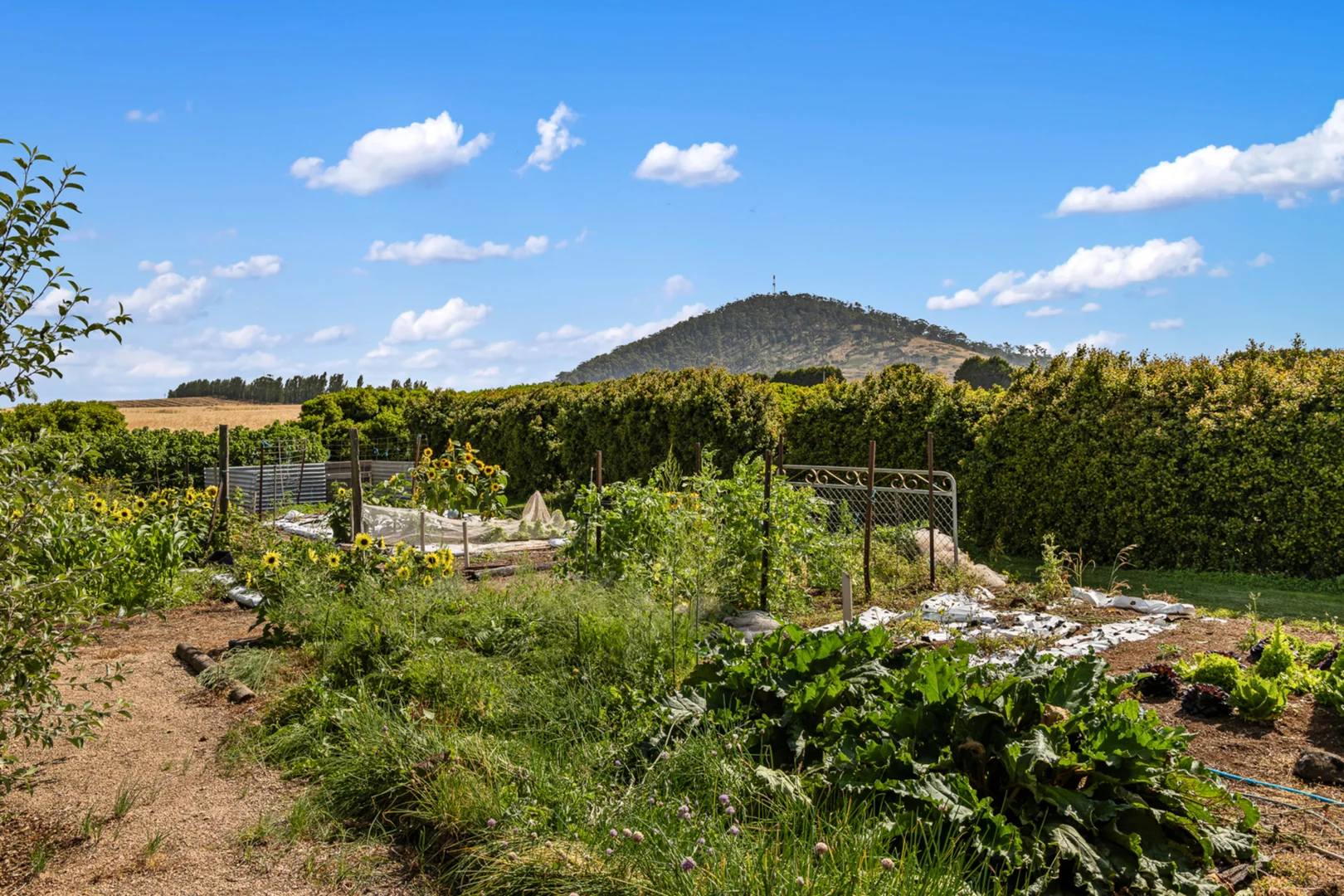 Additional image 23 of 170 Reidys Road, Bungaree VIC 3352