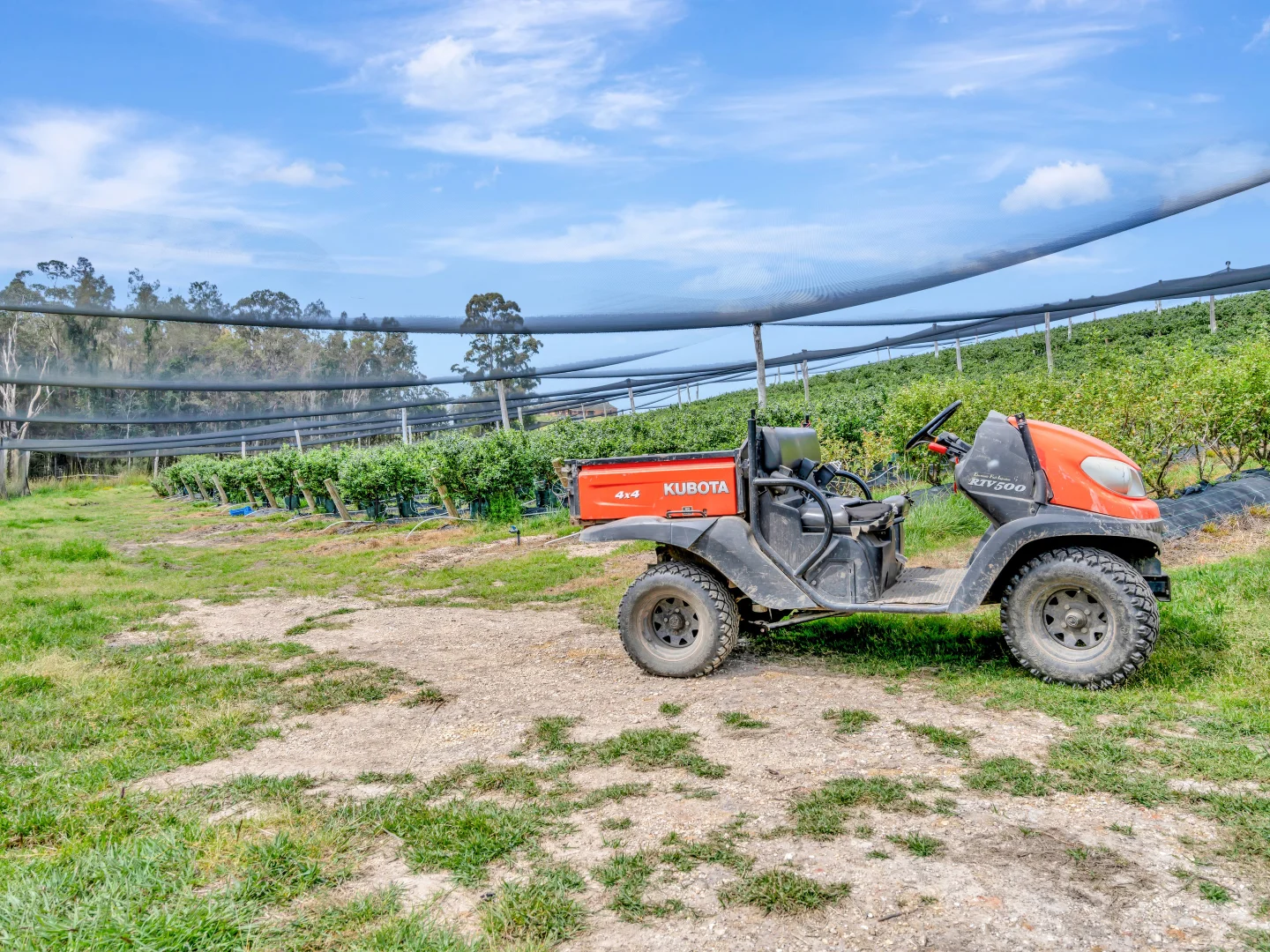 Additional image 28 of 13 Schuppe Drive, Congarinni North NSW 2447