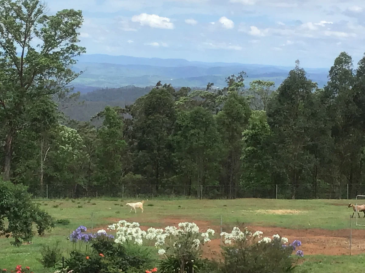 Additional image 29 of 35 Escarpment Avenue, Cabarlah QLD 4352