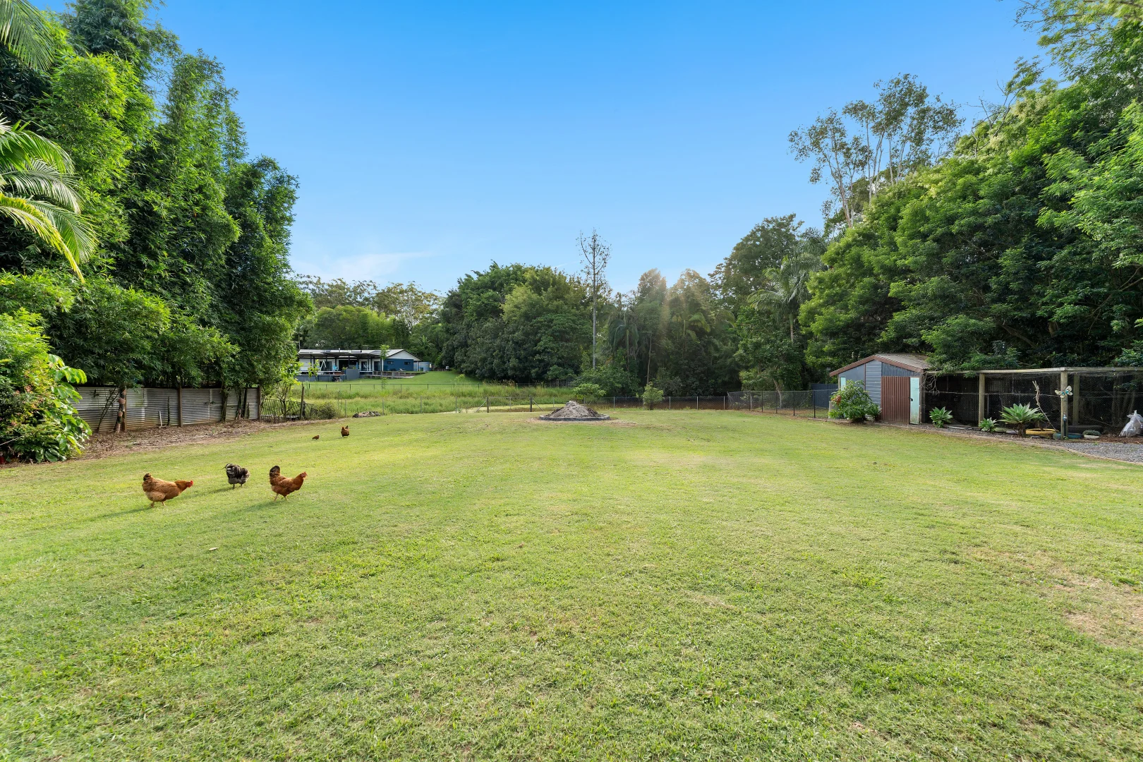 Additional image 32 of 457 Peachester Road, Beerwah QLD 4519