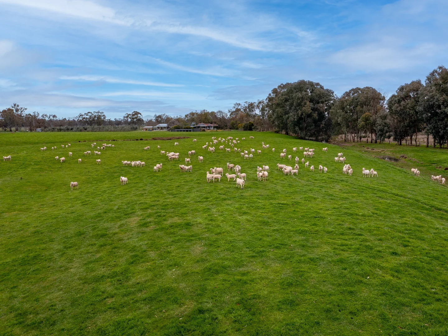 Additional image 22 of 2269 Snow Road, Markwood VIC 3678