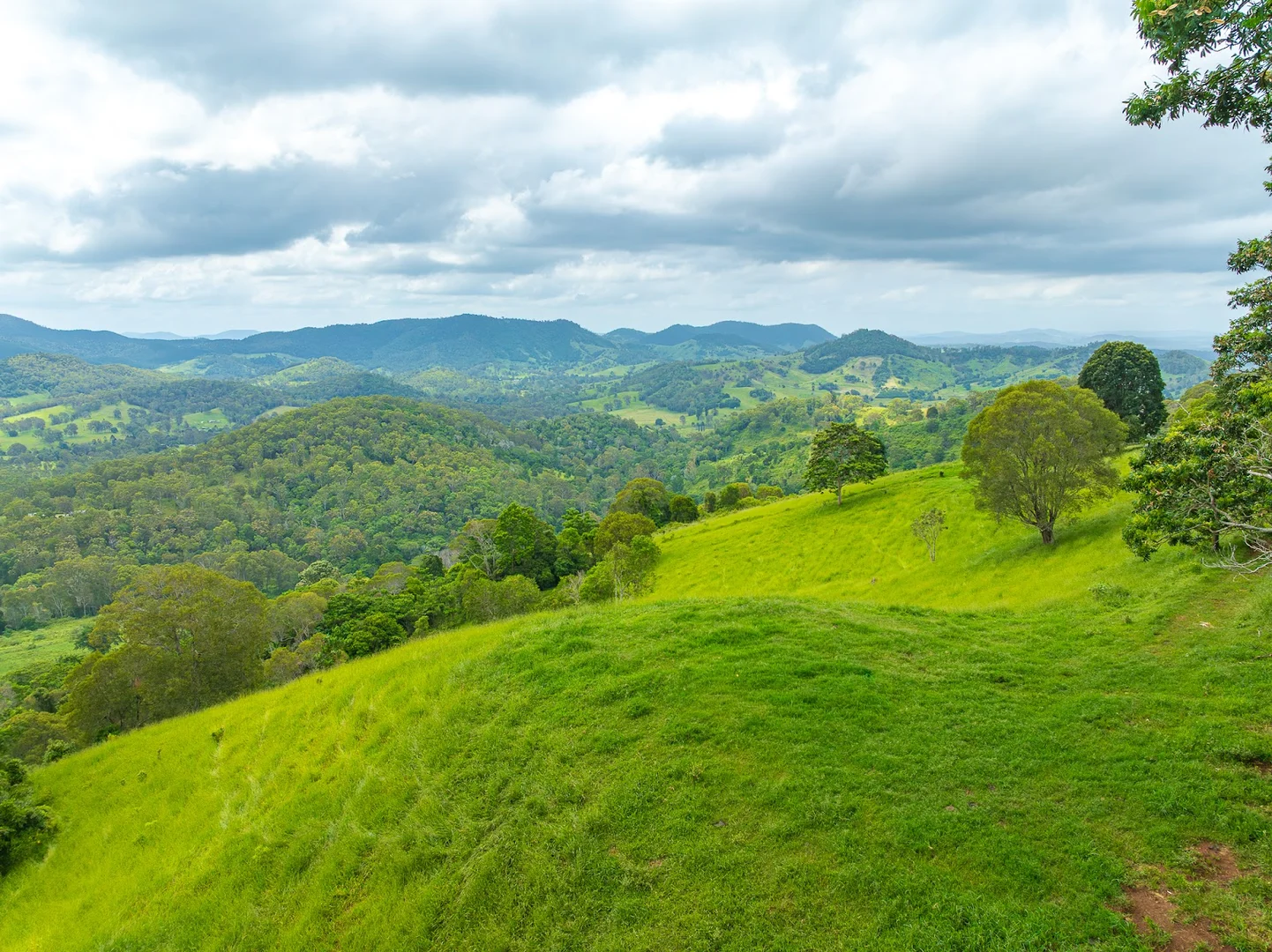 Additional image 4 of 149 Coppermine Creek Road, Langshaw QLD 4570